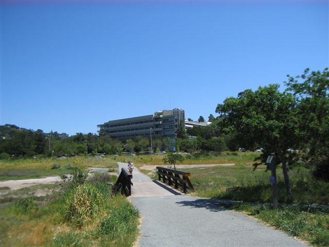 Greenbrae near Marin General Hospital by Kelley Eling, Marin County Realtor