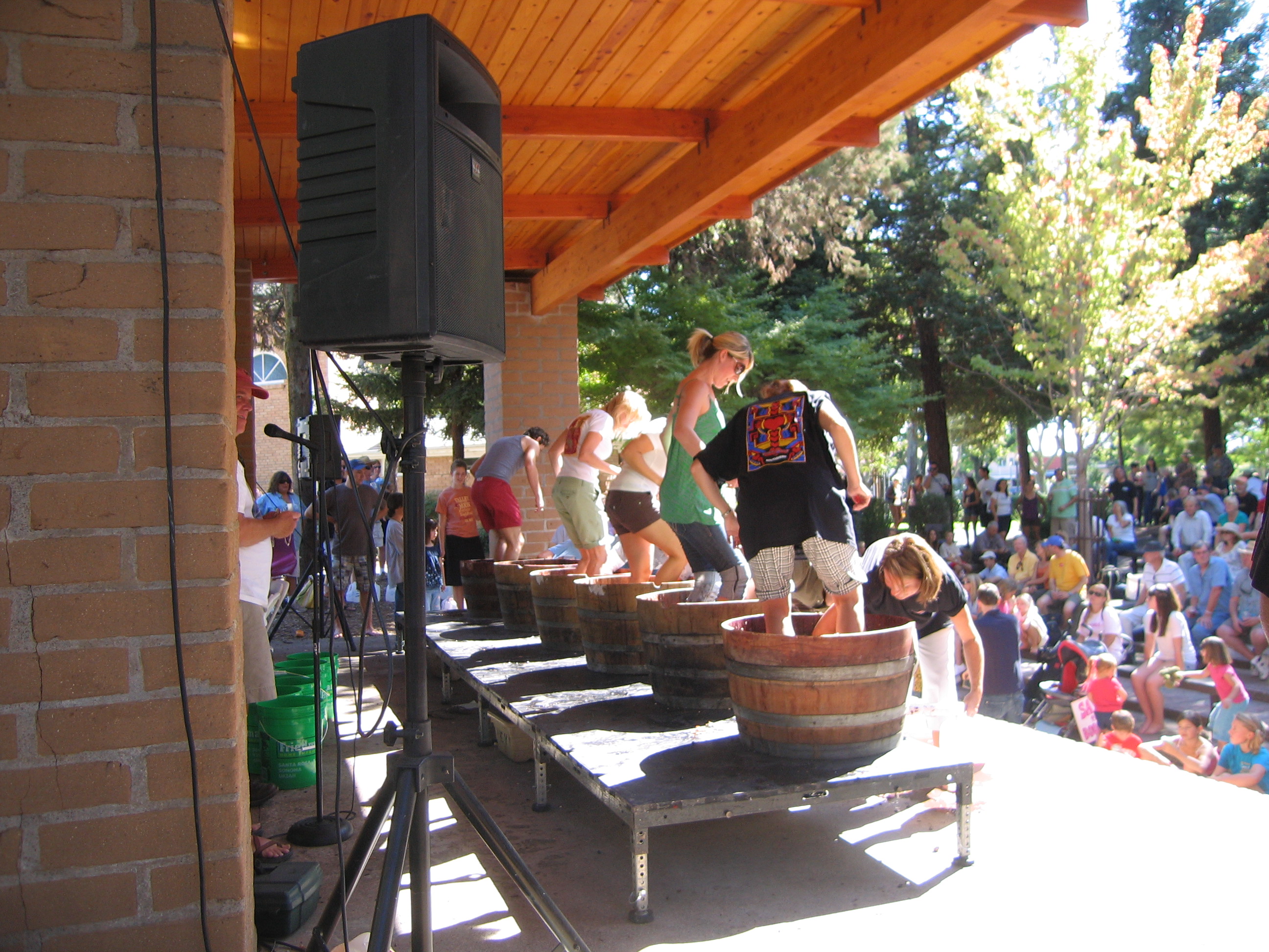 Stomping Grapes Onstage at The Vintage Festival by Kelley Eling, Marin County Realtor