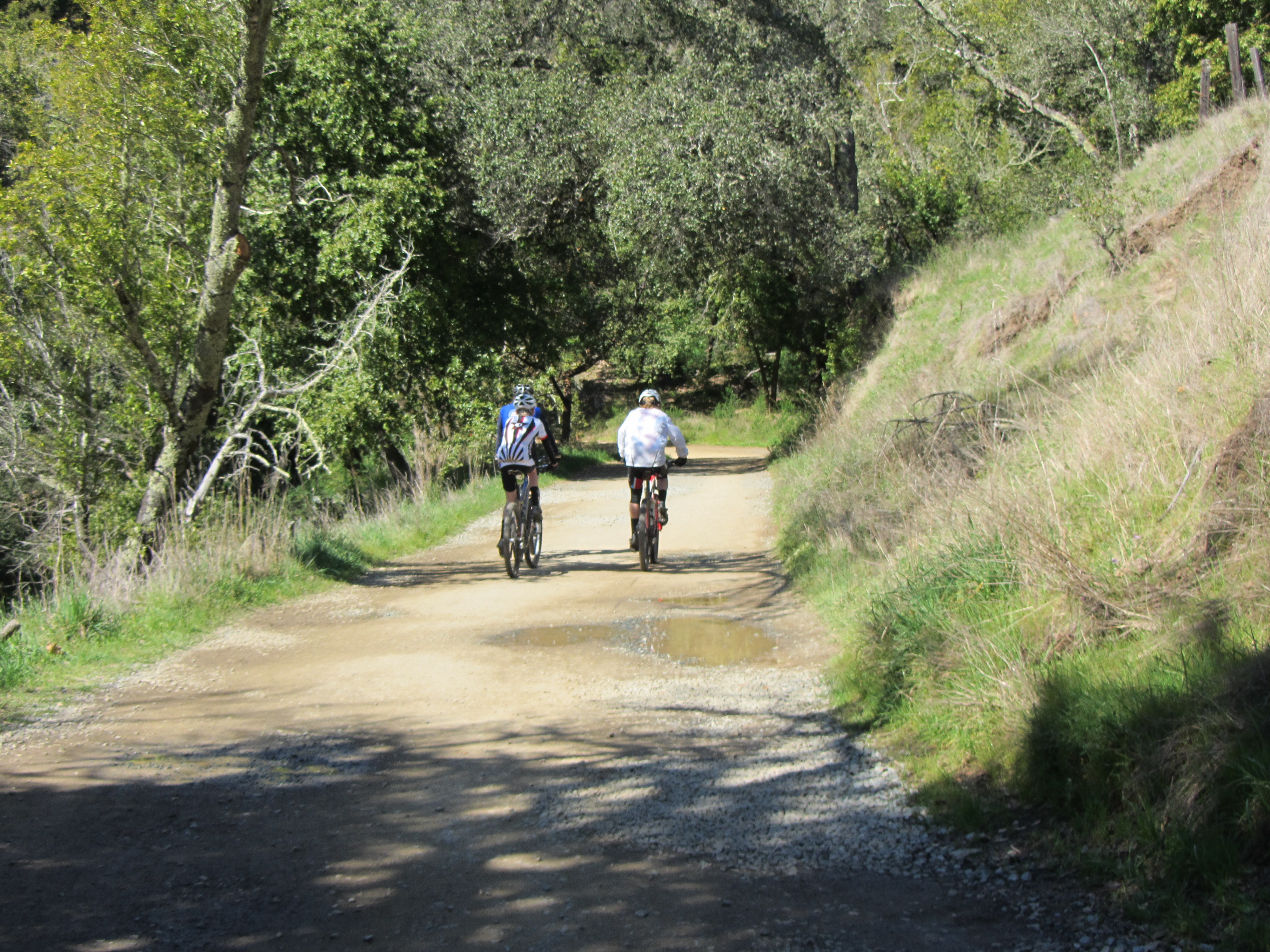 Cyclists On The Trails at Phoenix Lake by Kelley Eling, Marin County Realtor
