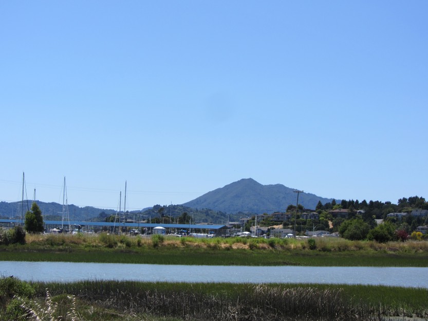 Mount Tamalpais as seen from Peacock Gap in San Rafael by Kelley Eling, Marin County Realtor