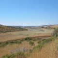Nicasio Reservoir, August 9, 2014